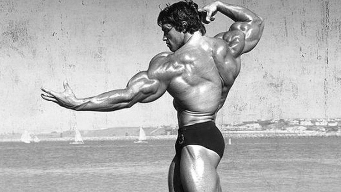 arnold musclefreak