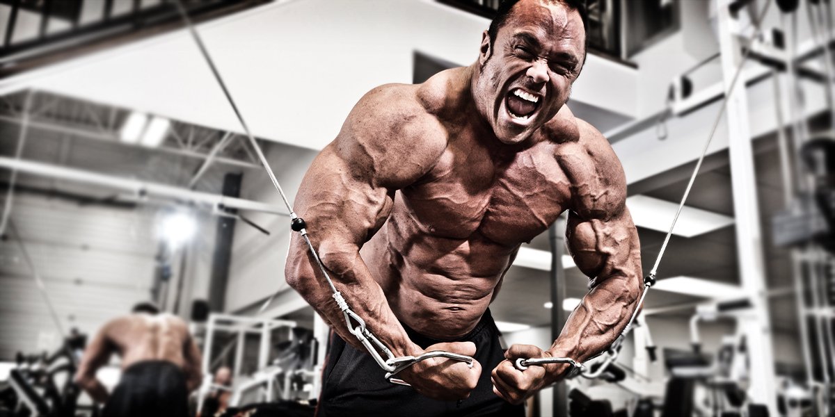 3 MITA O SNAZI I RASTU MIŠIĆA