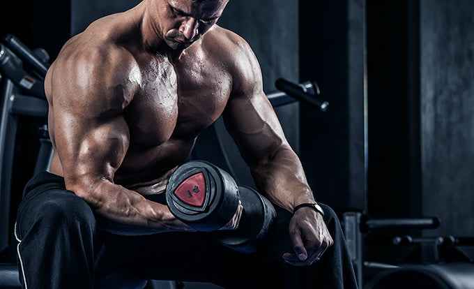 muscle-pump-musclefreak