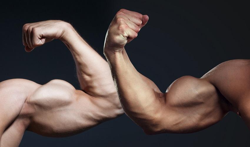 muscle freak napredak forme
